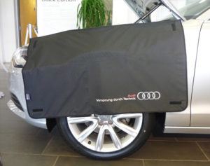 Audi Light Inspection Cover